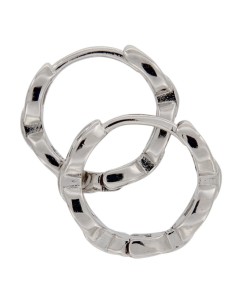 CRI-579 - CRIOLLA LISA CALABROTE RODIO 2