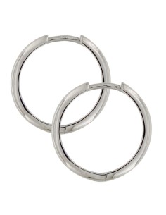 CRI-1192 - CRIOLLA DE PLATA LISA DE 15 MM 2