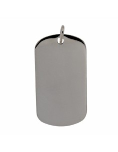 PLACA-170 - PLACA DE PLATA DE 40 MM X 22 MM