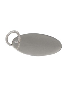 PLACA-22RO - PLACA DE PLATA RODIADA DE 22 MM DE DIÁMETRO 2